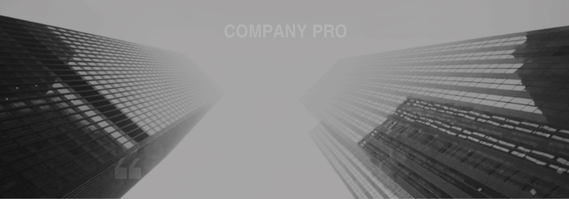 澳洲KENNA客戶來(lái)我司考察